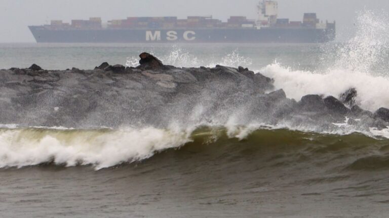 चक्रवाती तूफान ”Ditwah” भारत में कहां-कहां बरपाएगा कहर? और आज कितना गिरेगा पारा, देखें मौसम का अपडेट